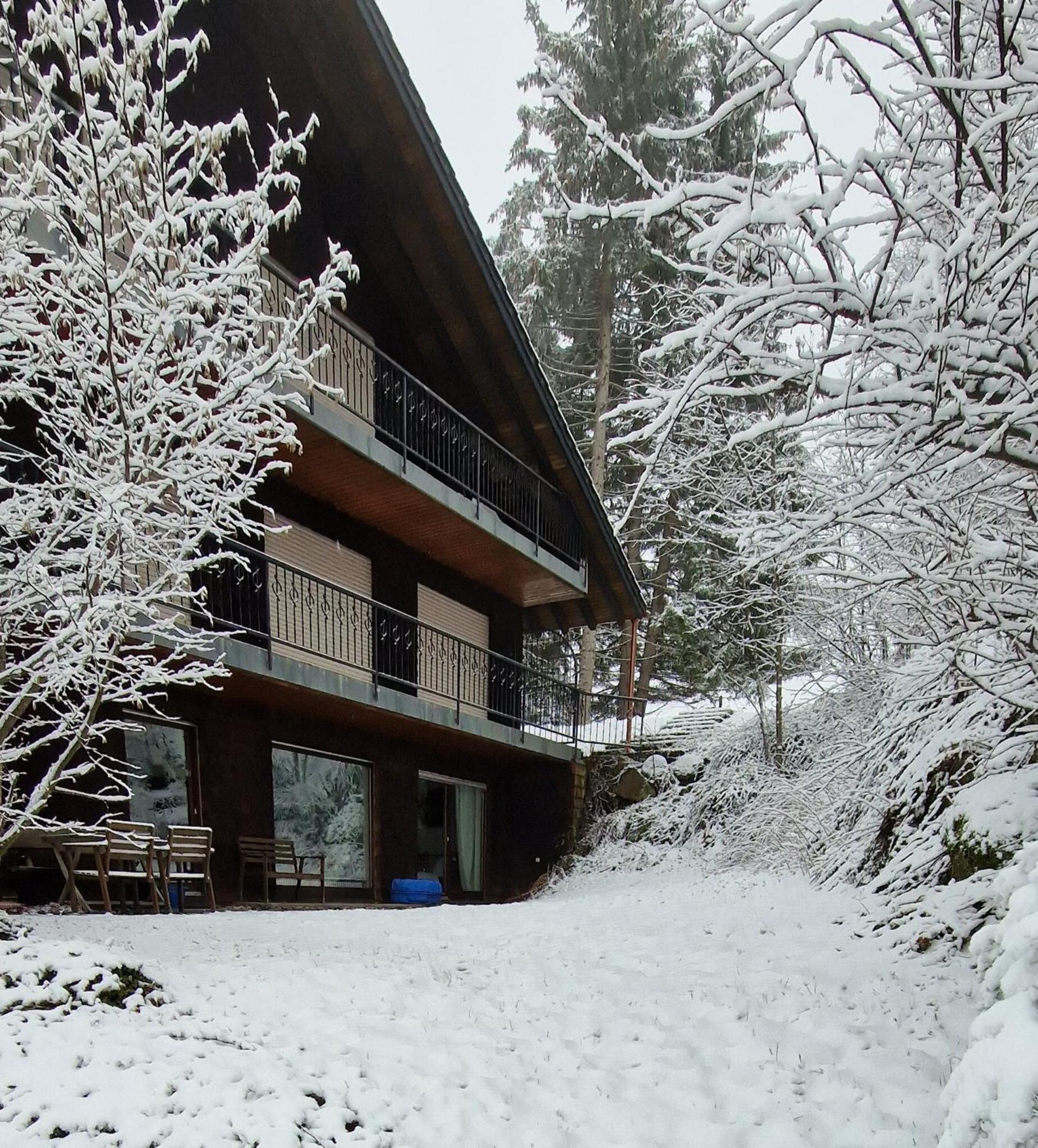 Ferienwohnung In Schoenwald Schwarzwald Extérieur photo